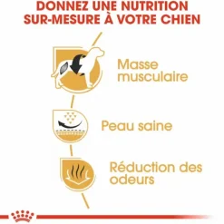 Online ROYAL CANIN Croquette pour chien Bulldog français - 9 kg