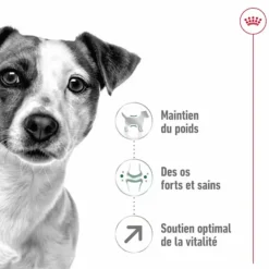Online ROYAL CANIN Croquette pour chien mature de petite taille - 2 kg