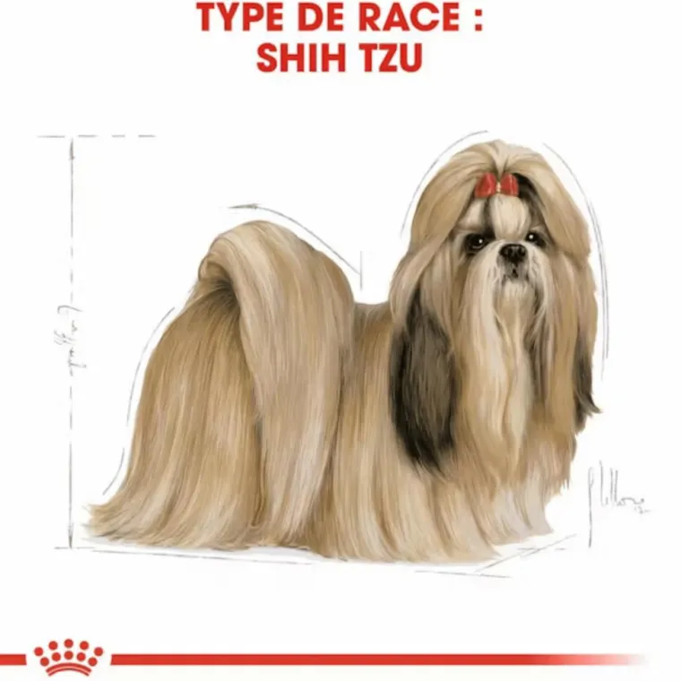 Hot ROYAL CANIN Croquette pour chien Shih Tzu - 3 kg