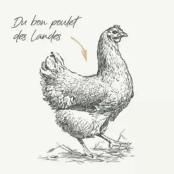 Best BAB'IN Croquettes pour chien maxi adulte au poulet sans céréales Signature - 12 kg