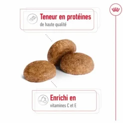 Outlet ROYAL CANIN Croquettes pour chien Medium adulte de + 7 ans - Le sac de 15 kg