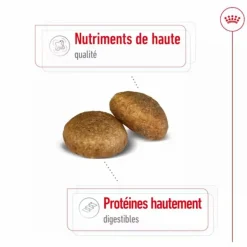 Clearance ROYAL CANIN Croquettes pour chien Maxi adulte de + de 15 mois - Le sac de 15 kg