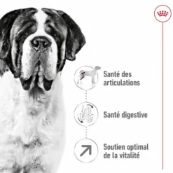 Discount ROYAL CANIN Croquettes pour chien Giant adulte de + de 45 kg - Le sac de 15 kg