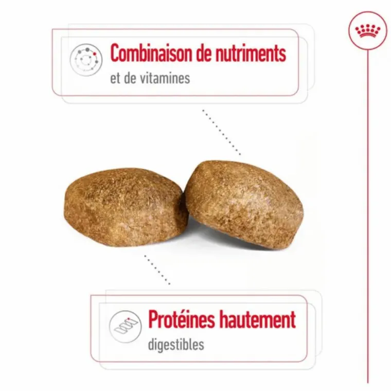Discount ROYAL CANIN Croquettes pour chien Giant adulte de + de 45 kg - Le sac de 15 kg