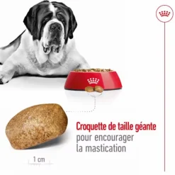 Discount ROYAL CANIN Croquettes pour chien Giant adulte de + de 45 kg - Le sac de 15 kg