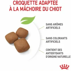 ROYAL CANIN Croquettes pour chiot Junior active Giant - 15 kg