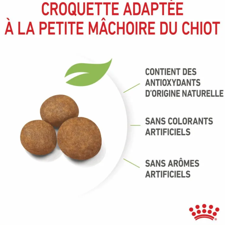 Best ROYAL CANIN Croquettes pour chiot Giant - 15 kg