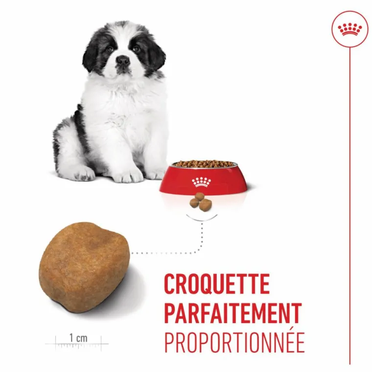 Best ROYAL CANIN Croquettes pour chiot Giant - 15 kg