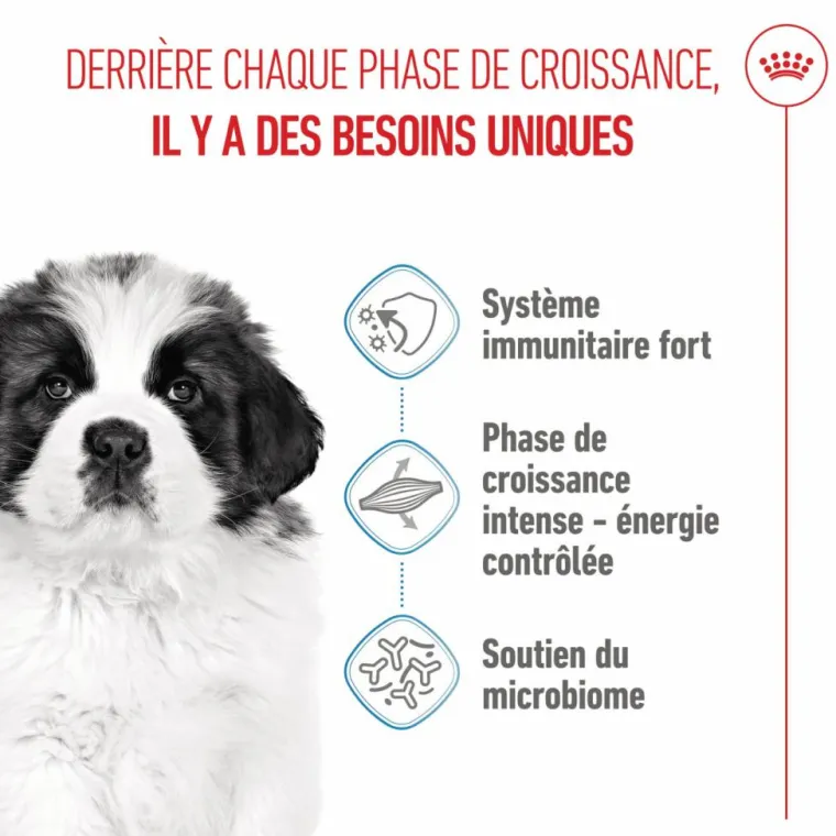 Best ROYAL CANIN Croquettes pour chiot Giant - 15 kg