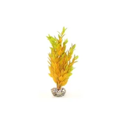 Outlet LABEO Cycared jaune en plastique 28 cm