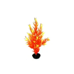 Online LABEO Cycared orange en plastique 28 cm