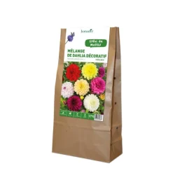 Discount BOTANIC® Dahlia Décoratif en mélange - 5 bulbes