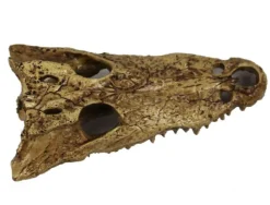 Clearance REPTILE PLANET Décor pour terrarium en résine coloris beige tête d'alligator Gator Bones