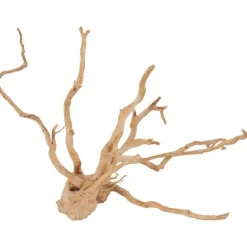 ZOLUX Décoration naturelle pour aquarium et terrarium coloris marron racine araignée – 10 à 30 cm