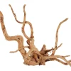 Discount ZOLUX Décoration naturelle pour aquarium et terrarium coloris marron racine araignée – 30 à 40 cm