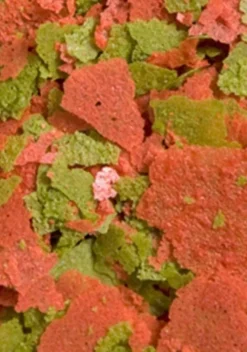 Sale BLUE CORAL Discus Flakes - OCEAN NUTRITION - 70g