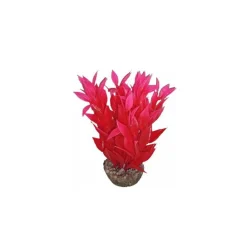 Clearance LABEO Dracaena rose en plastique 13 cm