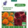 Hot BOTANIC® Duo de Dahlia Pompon bio Sylvia/Rocco orange/violet - 2 bulbes