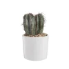 Discount BOTANIC® Euphorbia en pot blanc émaillé H 10 x Ø 10 cm