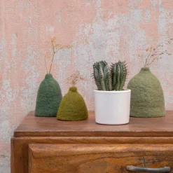 Discount BOTANIC® Euphorbia en pot blanc émaillé H 10 x Ø 10 cm