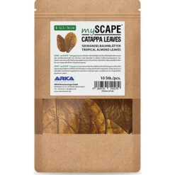 Best BLUE CORAL Feuilles de badamier taille S, ARKA myScape-Catappa - 10 pièces de 12,5/16 cm