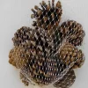 Filet de 12 petites pommes de pin naturelles pour décoration de Noël