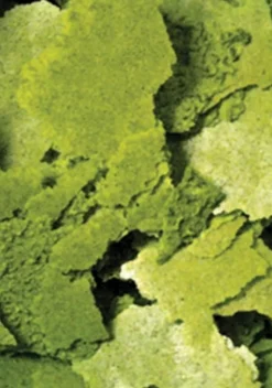 Sale BLUE CORAL Formula Two Flakes - OCEAN NUTRITION - 70g