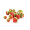Hot Fraises Mara des bois bio de France - Barquette de 250 g