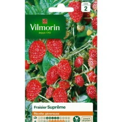 Online VILMORIN Fraisier Suprême - graines à semer