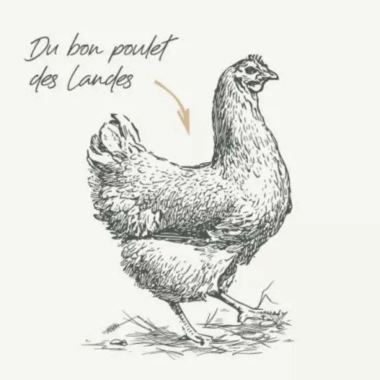 Online BABIN Friandises pour chat au poulet boules de poils Bab'in Les Bab'inettes - 60 g