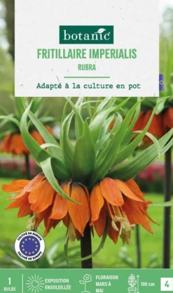 Clearance BOTANIC® Fritillaire Rubra - 1 bulbe