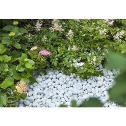 Clearance BOTANIC® Galets de marbre blanc de Carrare calibre 20 à 40 mm en sac de 10 kg