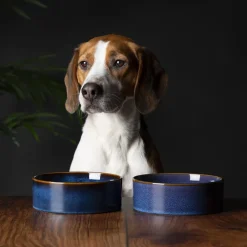 SCRUFFS Gamelle pour chien en grès coloris bleu nuit Reactive Glaze - 19 x 19 x 8 cm