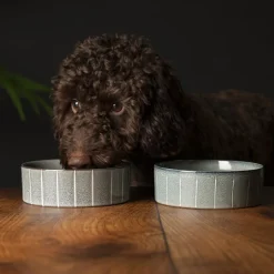 Clearance SCRUFFS Gamelle pour chien en grès coloris gris avec rayures Reactive Glaze - 19 x 19 x 8 cm