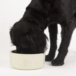 Sale SCRUFFS Gamelle repas pour chien coloris beige clair en grès – 19 x 19 x 8,5 cm