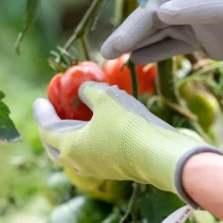 Outlet BLACKFOX Gants Colors Vert anis