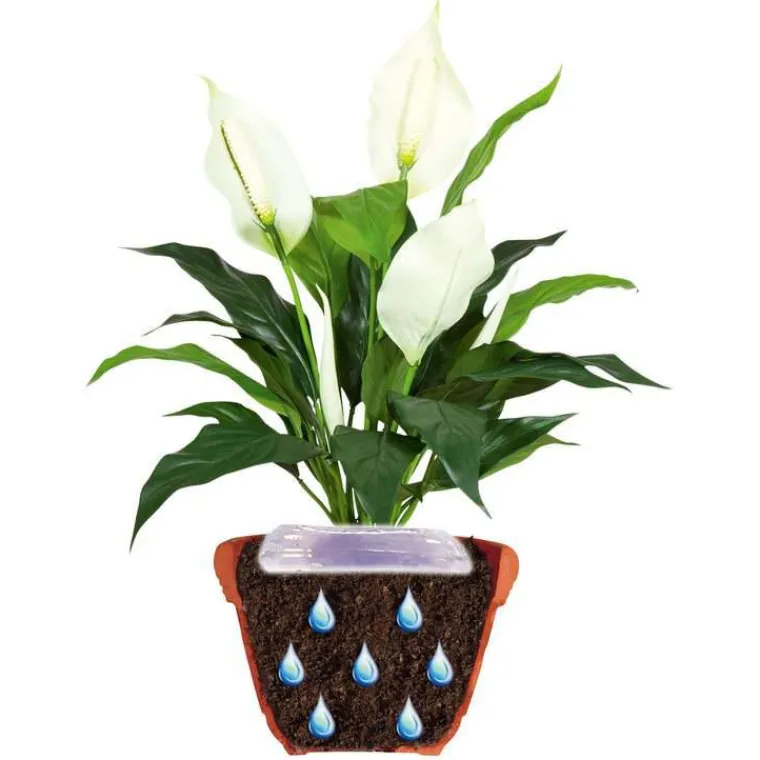 Best JARDIBRIC Gel d’arrosage Jardigel - 400 ml