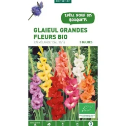 Clearance BOTANIC® Glaïeul à grandes fleurs mélange bio - 5 bulbes