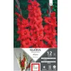 Sale ERNEST TURC Glaïeul Magma rouge - 12 bulbes