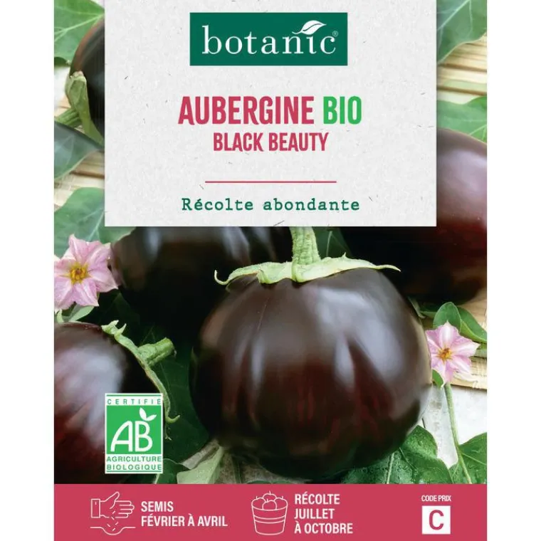Clearance BOTANIC® Graines d'aubergine black beauty bio - graines à semer
