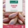 Outlet BOTANIC® Graines d'échalion zebrune - graines à semer