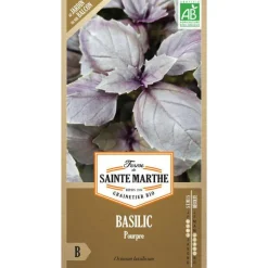 Best FERME DE SAINTE MARTHE Graines de basilic pourpre bio - graines à semer