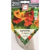 Discount ERNEST TURC Graines de Capucine en mélange bio - graines à semer