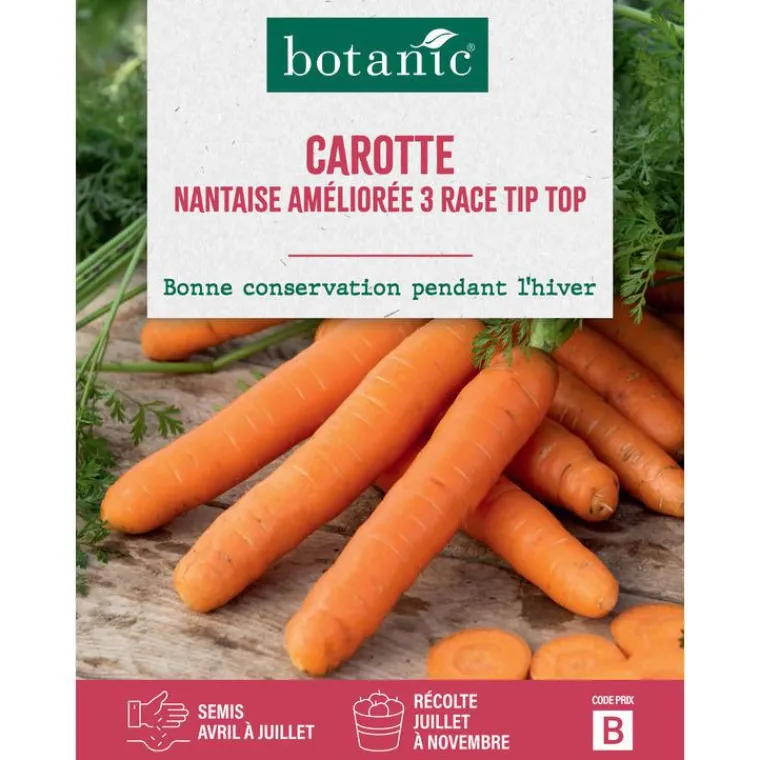 Best BOTANIC® Graines de carotte nantaise améliorée 3 race tip top - graines à semer