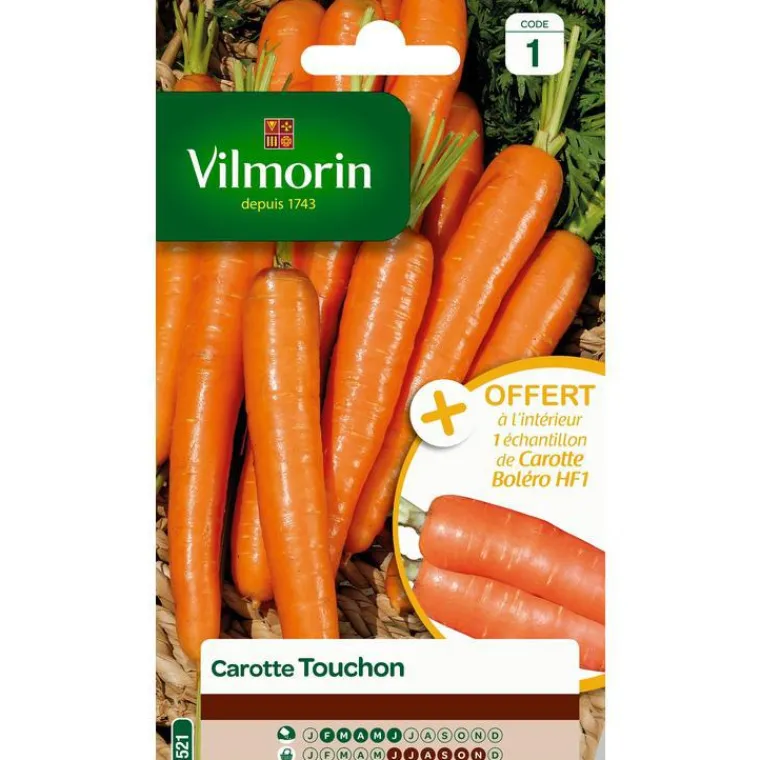 Clearance VILMORIN Graines de carotte touchon orange - graines à semer