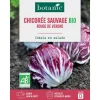 Discount BOTANIC® Graines de Chicorée sauvage rouge de Vérone bio - graines à semer