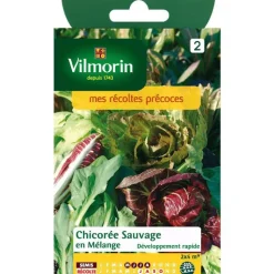 Online VILMORIN Graines de chicorée sauvage en mélange - graines à semer