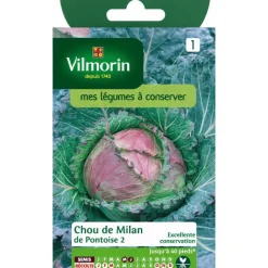 Online VILMORIN Graines de chou de Milan de pontoise - graines à semer