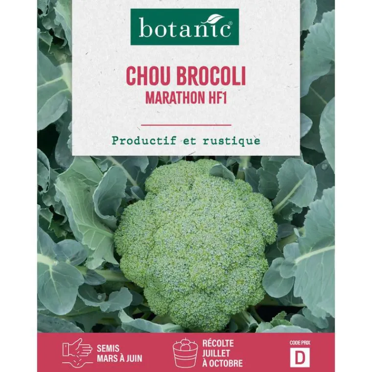 New BOTANIC® Graines de choux brocolis marathon HF1 - graines à semer
