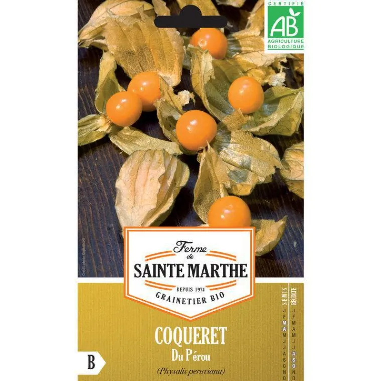 Discount FERME DE SAINTE MARTHE Graines de coqueret du Pérou bio - graines à semer